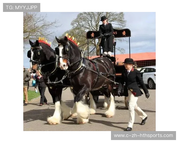 冰球近身肉搏激烈程度堪比硬桥硬马 冰球近身肉搏激烈程度堪比硬桥硬马