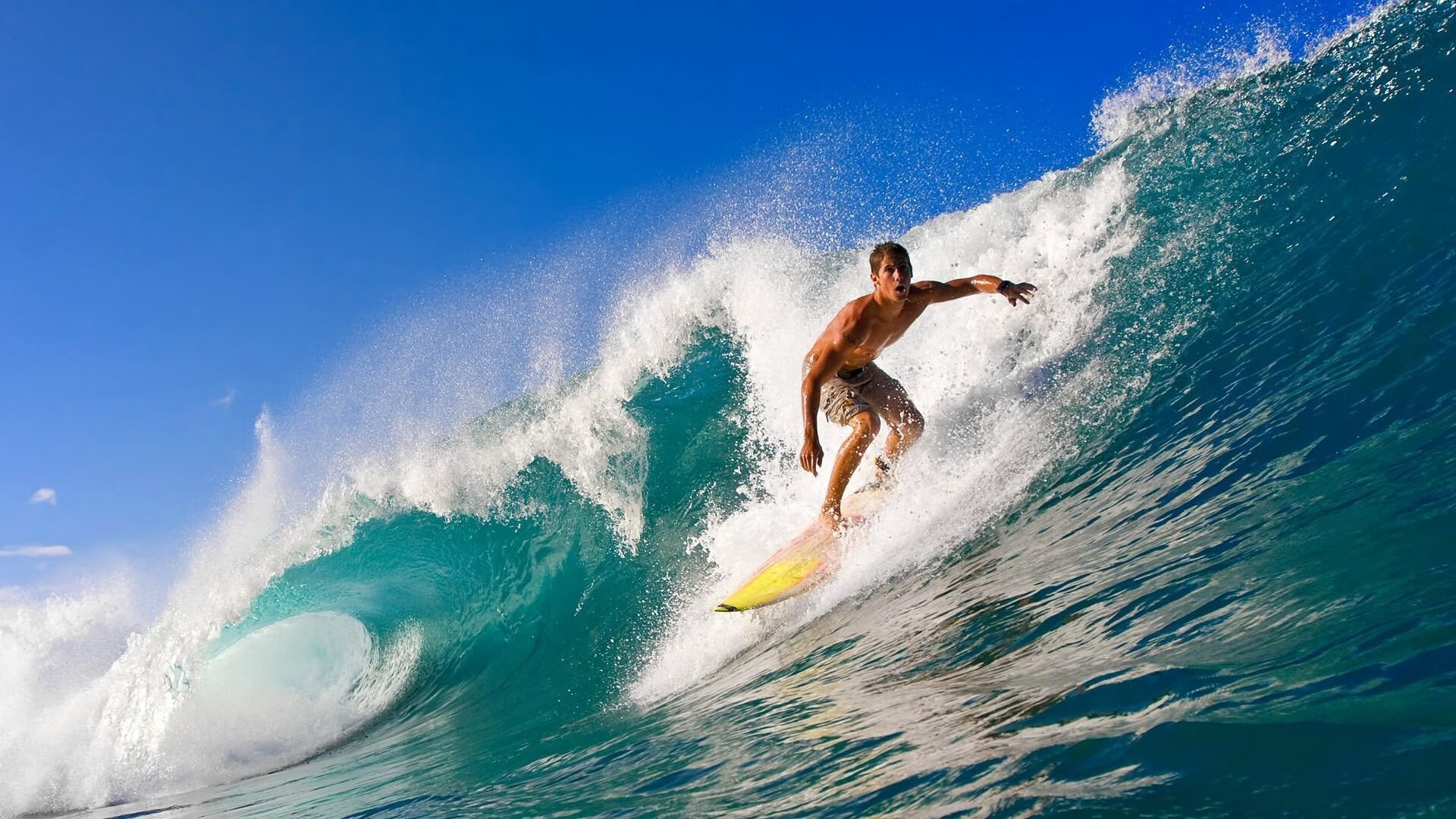 环湖徒步与观鸟比赛 联合野保组织记录候鸟迁徙